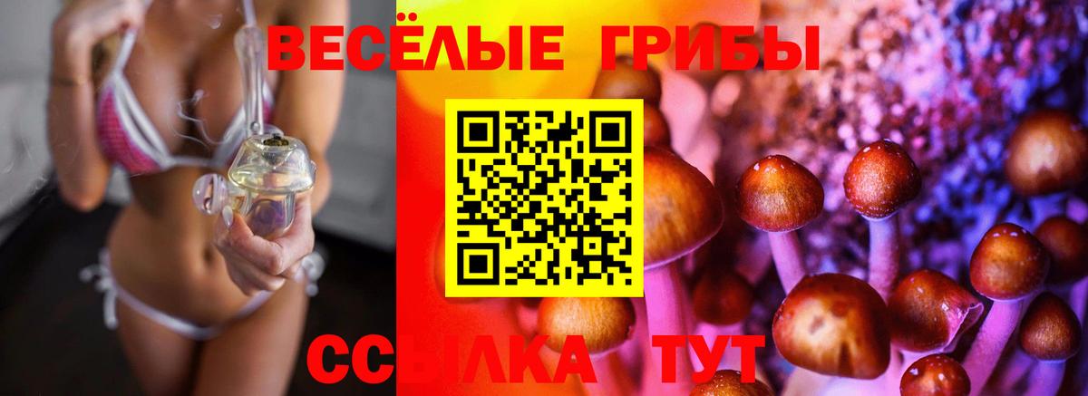 Галлюциногенные грибы ЛСД  Галлюциногенные грибы прущие грибы  Сокол  Вход с VPN 